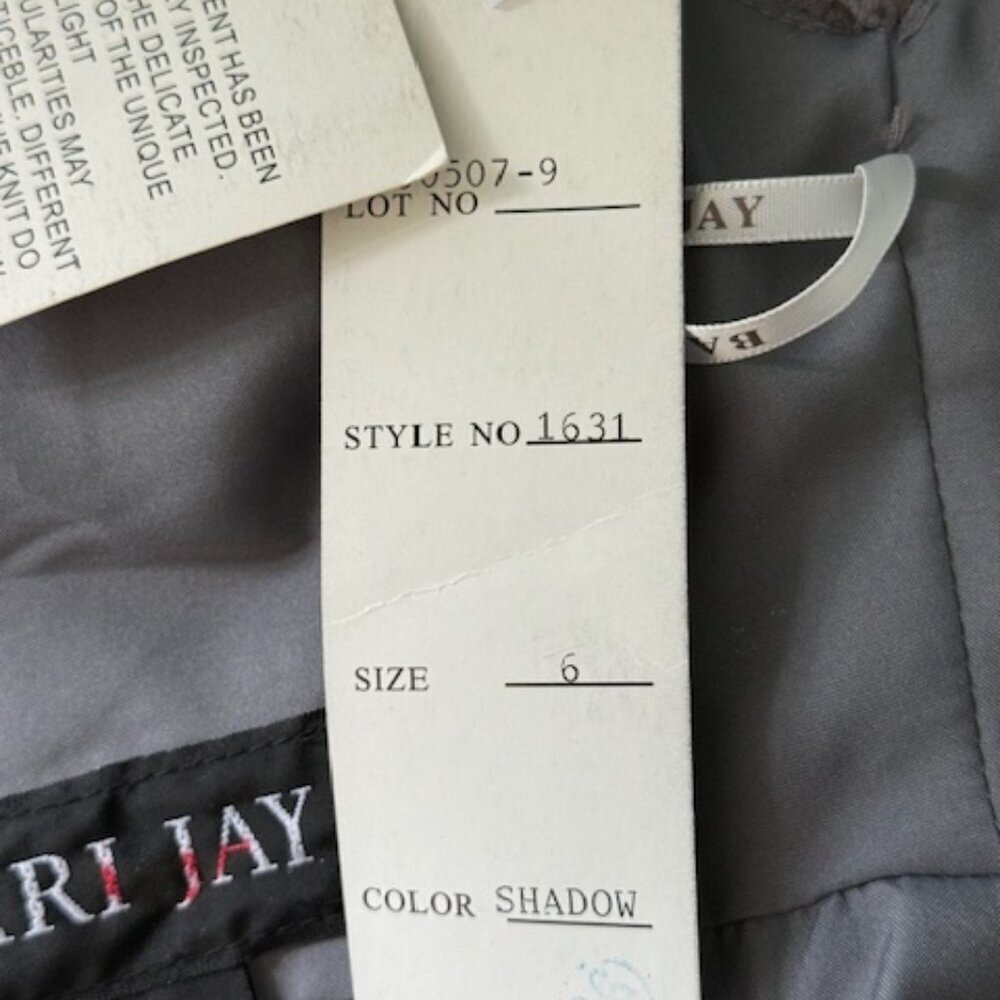 Bari Jay Bridesmaid Grey Chiffon Dress Style 1631 Shadow V Neck Pleated Sz 6 NWT - Picture 10 of 16